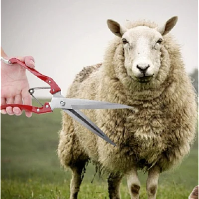 Foarfeca multifunctionala trandafiri animale caini oi Foarfeca multifunctionala trandafiri animale caini oi
