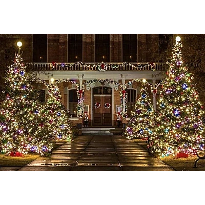 Instalatie multicolora 100m tip rola cu 480 LED 8 efecte de iluminare Instalatie multicolora 100m tip rola cu 480 LED 8 efecte de iluminare