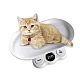 Mini cantar digital pentru bucatarie si pentru masurare hrana animale Q C220 Mini cantar digital pentru bucatarie si pentru masurare hrana animale Q C220
