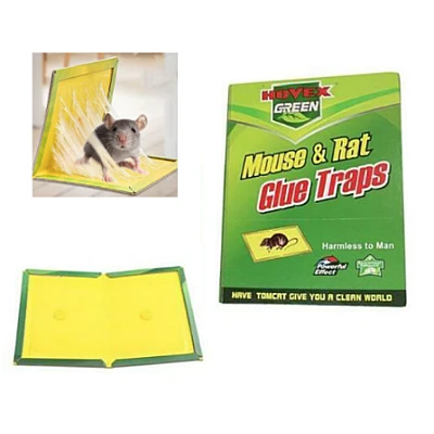 Set 8 Capcana cu lipici pentru soareci si sobolani Lure traps Set 8 Capcana cu lipici pentru soareci si sobolani Lure traps