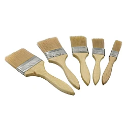 Set 5 pensule vopsit marimi diferite