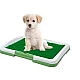 Tavita Toaleta cu iarba artificiala pentru animale Puppy Potty Pad Tavita Toaleta cu iarba artificiala pentru animale Puppy Potty Pad