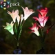 Set 2 lampi solare pentru gradina model FLOARE colorata