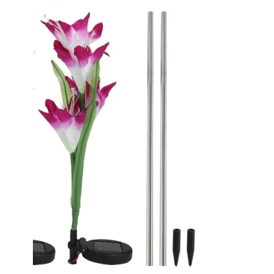 Set 2 lampi solare pentru gradina model FLOARE colorata