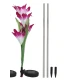 Set 2 lampi solare pentru gradina model FLOARE colorata