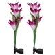 Set 2 lampi solare pentru gradina model FLOARE colorata