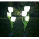 Set 2 lampi solare pentru gradina model LALELE