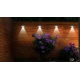 Set 12 Lampi solare LED pentru gradina Cap Rotund cu picior 30cm