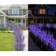 Set 2 Lampi solare LED tip LAVANDA pentru gradina iluminare decorativa exterior