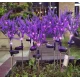 Set 2 Lampi solare LED tip LAVANDA pentru gradina iluminare decorativa exterior