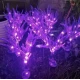Set 2 Lampi solare LED tip LAVANDA pentru gradina iluminare decorativa exterior