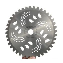 Disc motocoasa NR 10 de 255x25.4x40T arbusti dinti vidia model SPECIAL MX1018