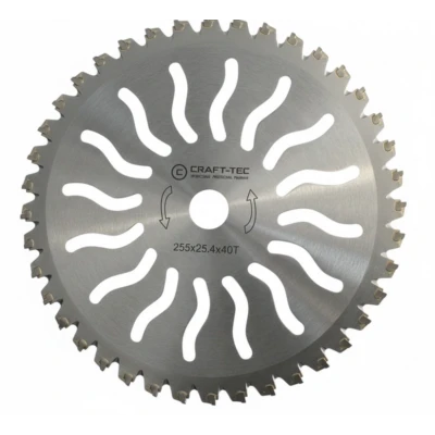 Disc motocoasa NR 10 de 255x25.4x40T arbusti dinti vidia model SOARE MX1017