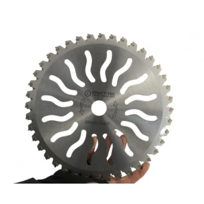 Disc motocoasa NR 10 de 255x25.4x40T arbusti dinti vidia model SOARE MX1017