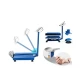 Cantar Electronic 350 kg cu Acumulator si Platforma metalica din tabla striata brat rabatabil