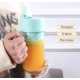 Mini blender portabil cu pahar de 420ml si incarcare USB