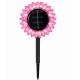 Lampa solara decorativa de gradina si de perete Floarea Soarelui 35cm ROZ cu led alb cald
