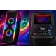 Boxa Portabila KTS 2033 Karaoke bluetooth 2×4 inch RGB Microfon Wireless