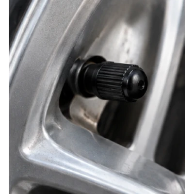 Set 100 piese valve auto pentru anvelope negre