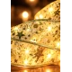 Panglica Luminoasa de Craciun 5M LED AURIE Alimentare la Priza decorativa