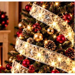 Panglica Luminoasa de Craciun 5M LED ARGINTIE Alimentare la Priza decorativa