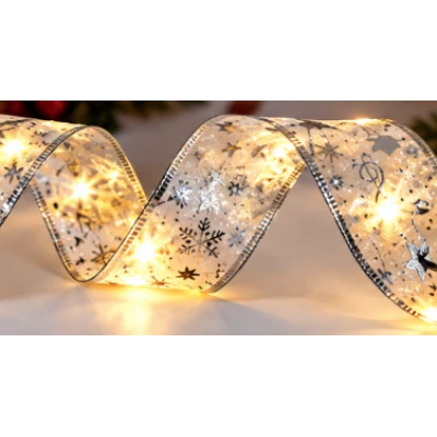 Panglica Luminoasa de Craciun 5M LED ARGINTIE Alimentare la Priza decorativa