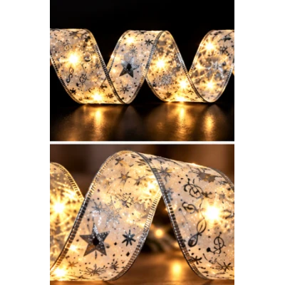 Panglica Luminoasa de Craciun 5M LED ARGINTIE Alimentare la Priza decorativa