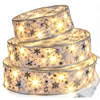 Panglica Luminoasa de Craciun 5M LED ARGINTIE Alimentare la Priza decorativa