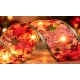Panglica Luminoasa de Craciun 5M LED ROSIE CU AURIU Alimentare la Priza decorativa