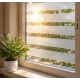 Folie pentru Geam Autoadeziva decorativa 60 × 300 cm transparenta cu dungi gri