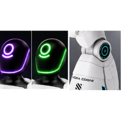Robot interactiv inteligent AI Delivery XR G7 cu telecomanda comenzi vocale senzor de gesturi muzica dans
