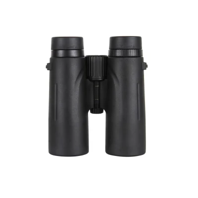 Binoclu 10x42