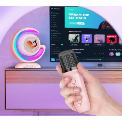 Boxa karaoke cu 2 microfoane wireless Bluetooth USB MI