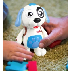 Catelus dansator muzical Dancing Dog