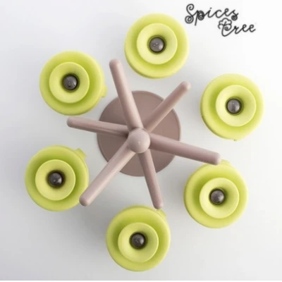 Copacel Spice Rack cu 6 recipiente pentru condimente + suport inclus