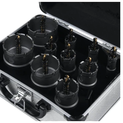 Cutie Metalica cu 10 Freze pentru Metal cu Pastile Vidia 16mm-53mm