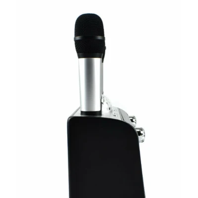 Dispozitiv Karaoke Disco Q YX899 putere 15W cu 2 microfoane wireles