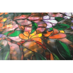 Folie autoadeziva pentru geam flori colorate 45 x 300 cm