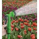 Furtun Extensibil Creponat 30m  verde 30m 100FT magic hose