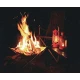Gratar pliabil pentru camping cu plasa din otel inoxidabil