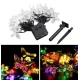 Instalatie 1500-11 Solara 50 LED - FLUTURI Crystal, MULTICOLOR 5m RGB