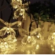 Instalatie 1500-11 Solara 50 LED - FLUTURI Crystal, ALB CALD 5m