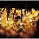 Instalatie 1500-11 Solara 50 LED - FLUTURI Crystal, ALB CALD 5m