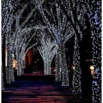 Instalatie solara decorativa 450  LED lungime 45 metri 1500 12 ALB RECE