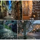 Instalatie solara decorativa 600 LED lungime 60 metri 1500 15 ALB RECE