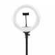 Lampa Ring Light 13 inch 3200k-5600k cu telecomanda Andowl Q L201
