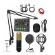 Microfon condensator podcast profesional cu placa de sunet Q SK8