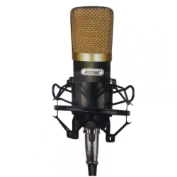 Microfon profesional Andowl Q Mic3 pentru inregistrari