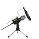 Microfon Profesional de inregistrare vocala si Karaoke pentru Studio WG 500II