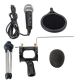 Microfon Profesional de inregistrare vocala si Karaoke pentru Studio WG 500II